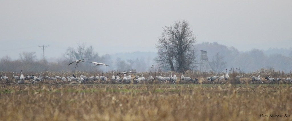 InFotoVeritas – czyli o moim świecie&nbsp;fotografii