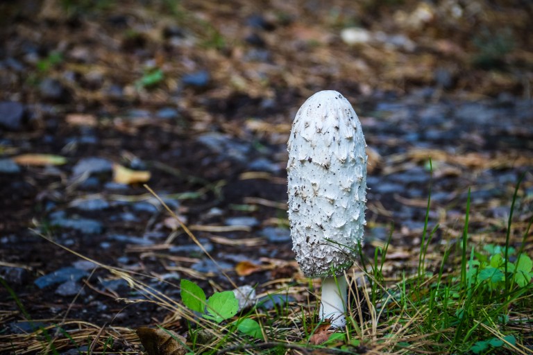 untitled (286 of 308).jpg