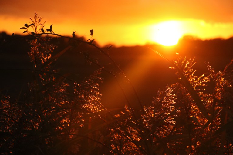 untitled (3 of 37).jpg