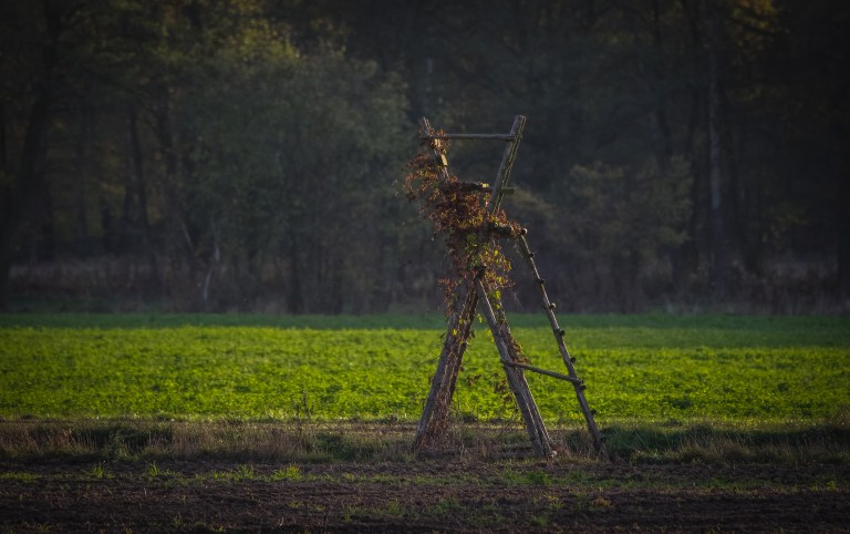 untitled (37 of 38).jpg