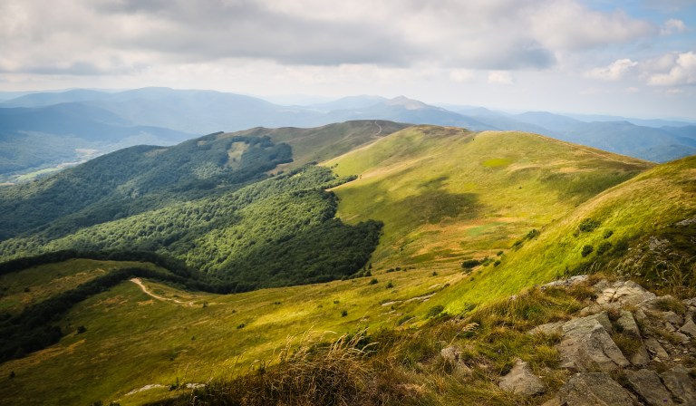 untitled (142 of 206).jpg