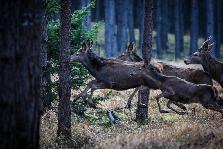 untitled (255 of 510)