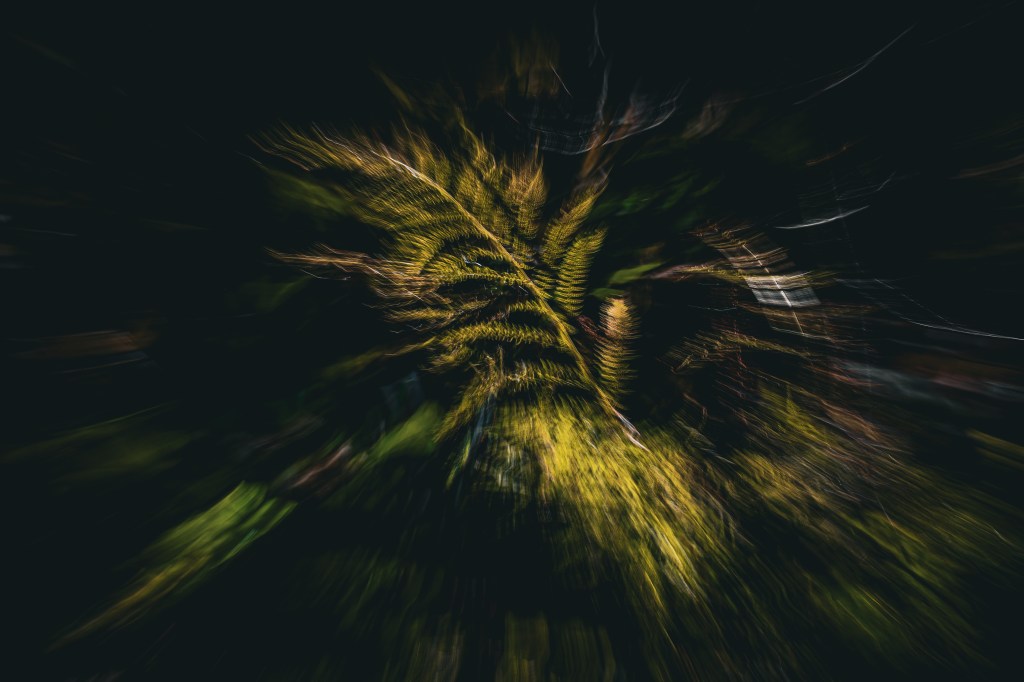 From my ICM world&nbsp;…
